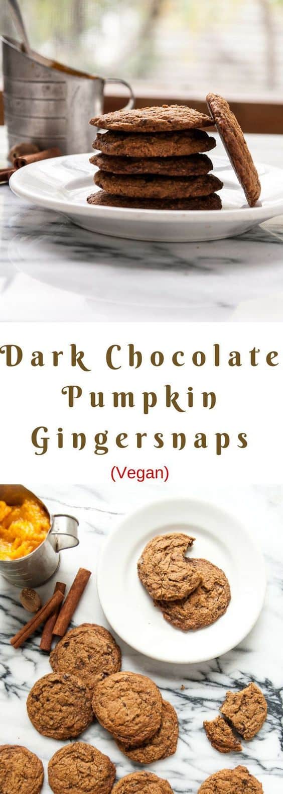 14. Dark Chocolate Pumpkin Vegan Gingersnaps
