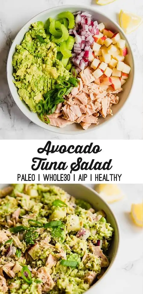 Avocado tuna salad