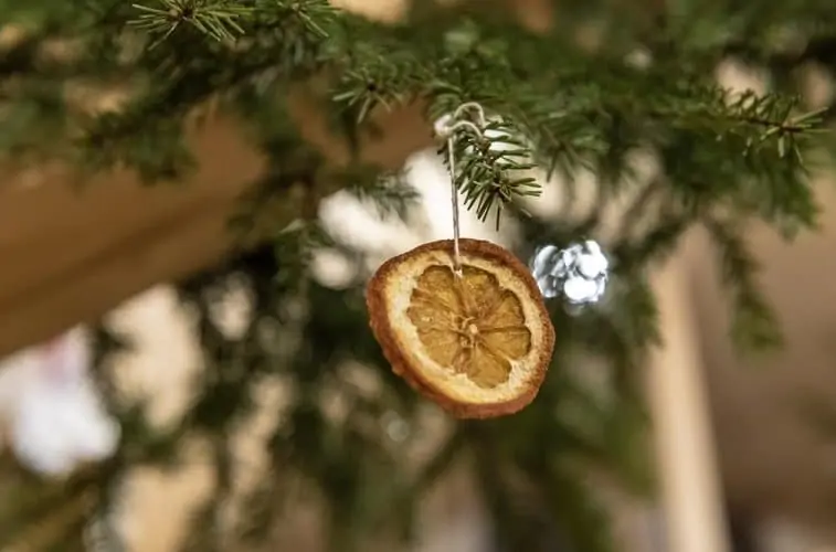 A zero waste and natural orange Christmas tree decoration 