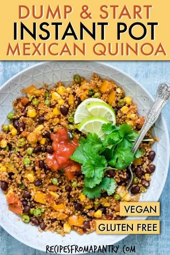  Instant Pot Mexican Quinoa