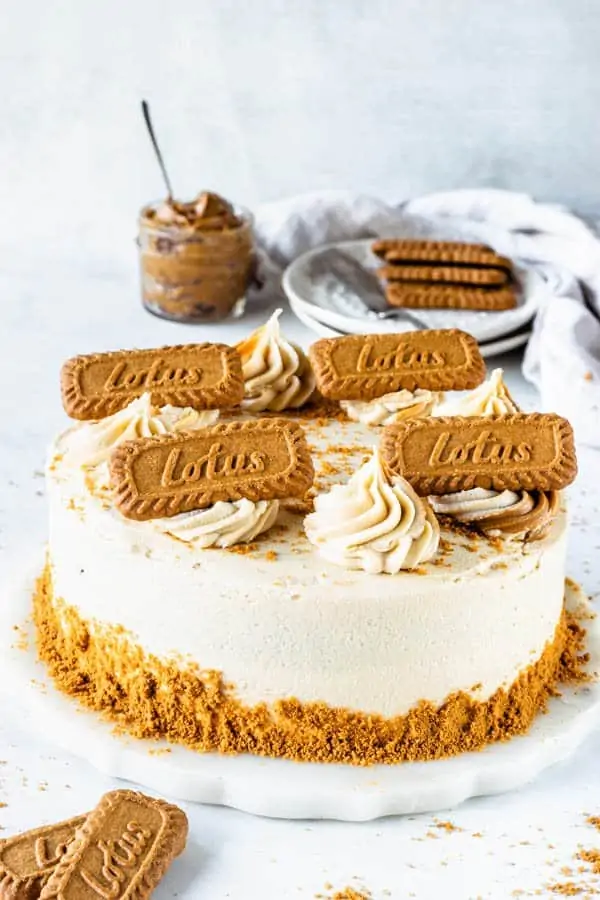 Biscoff Vegan Marble Cake