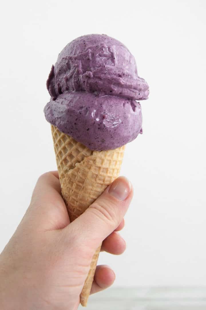 3. Vegan Blueberry Ice Cream
