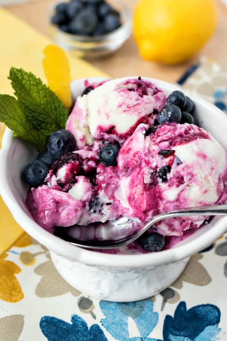 9. Lemon Blueberry Frozen Yogurt