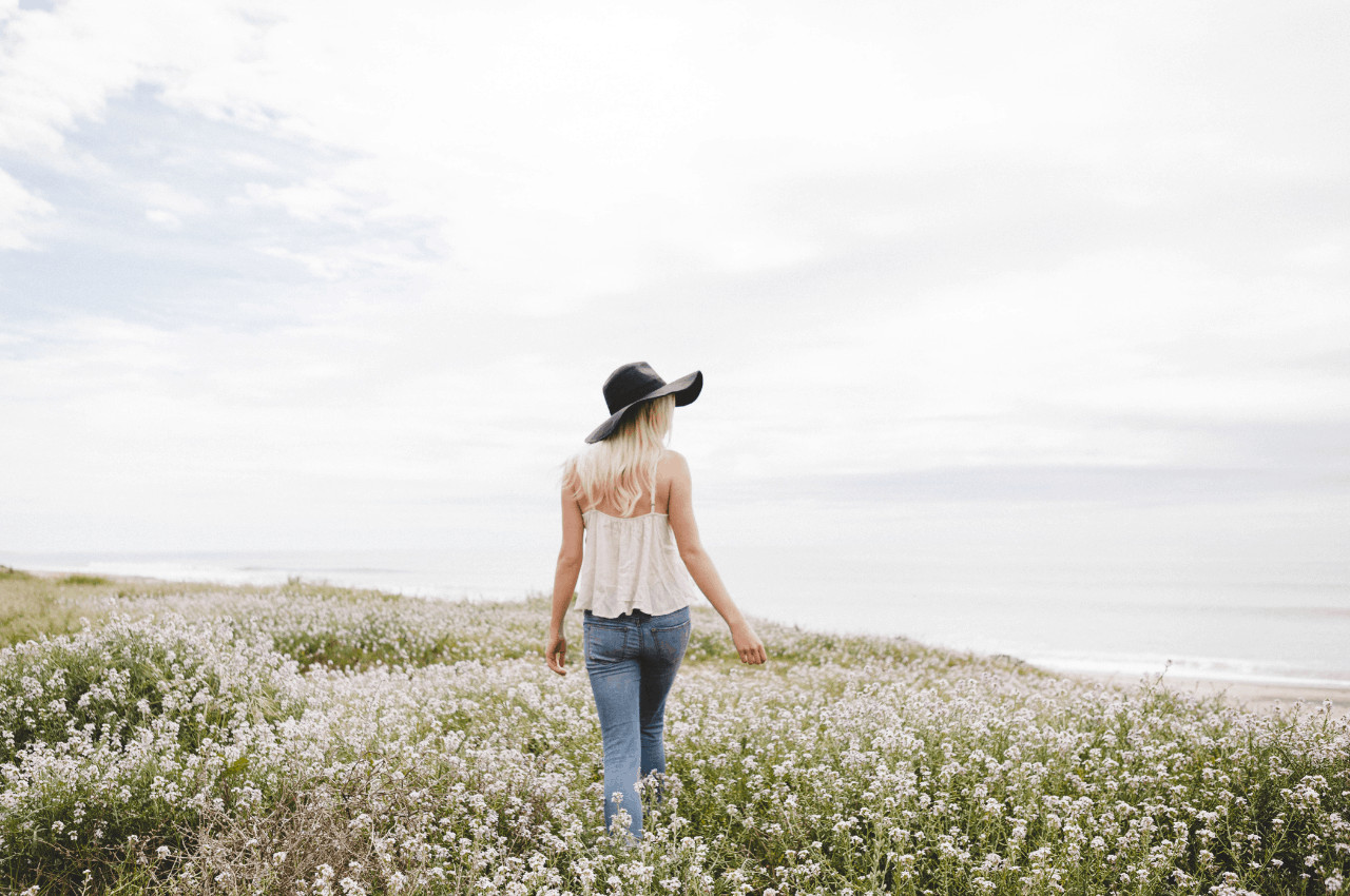 The Law of Attraction and Manifestation – What’s The Difference?