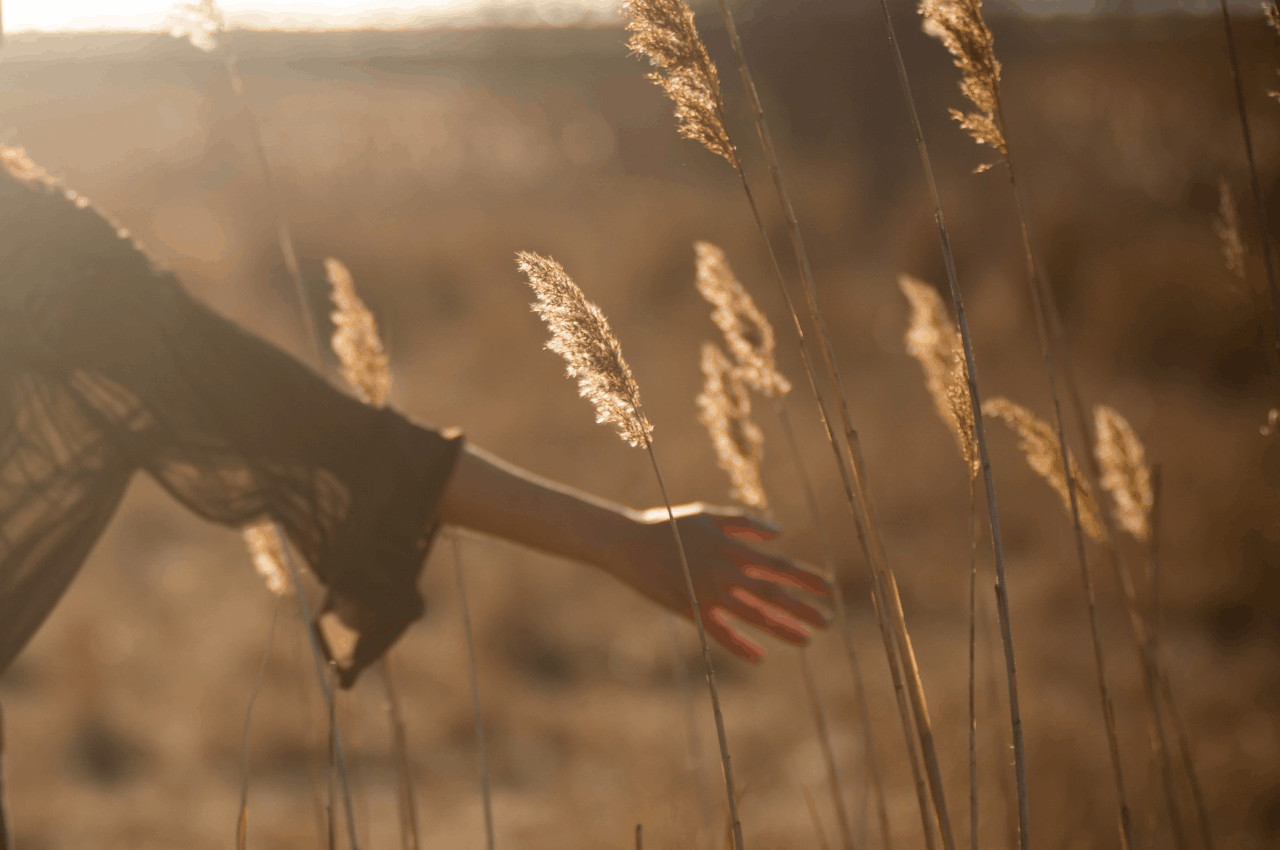 How to Use The Law of Attraction to Get What You Want