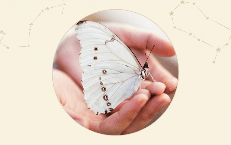 5. Transform your life from the inside out