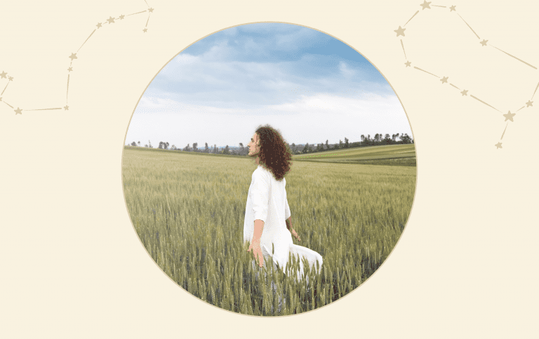4. Seek and explore