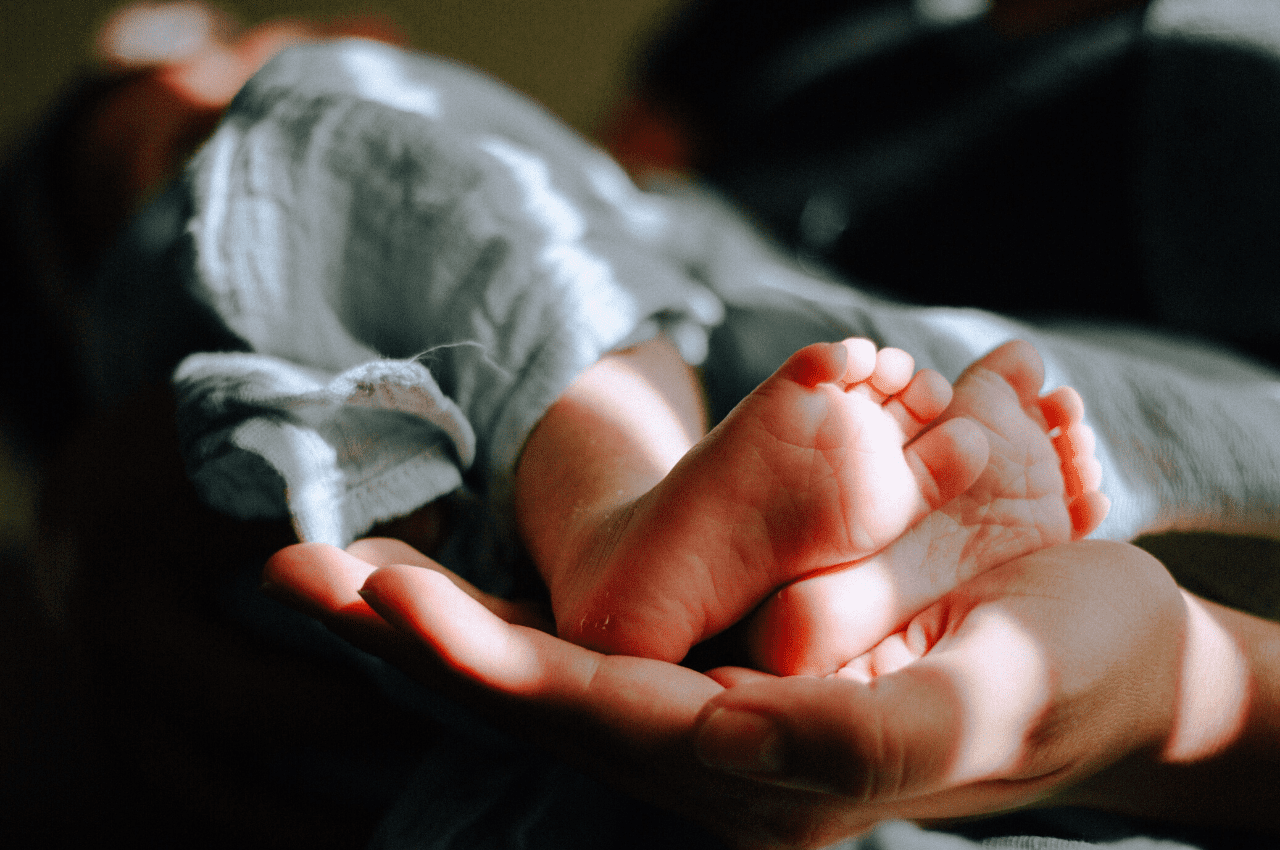 Are We Born Enlightened? (Answered)