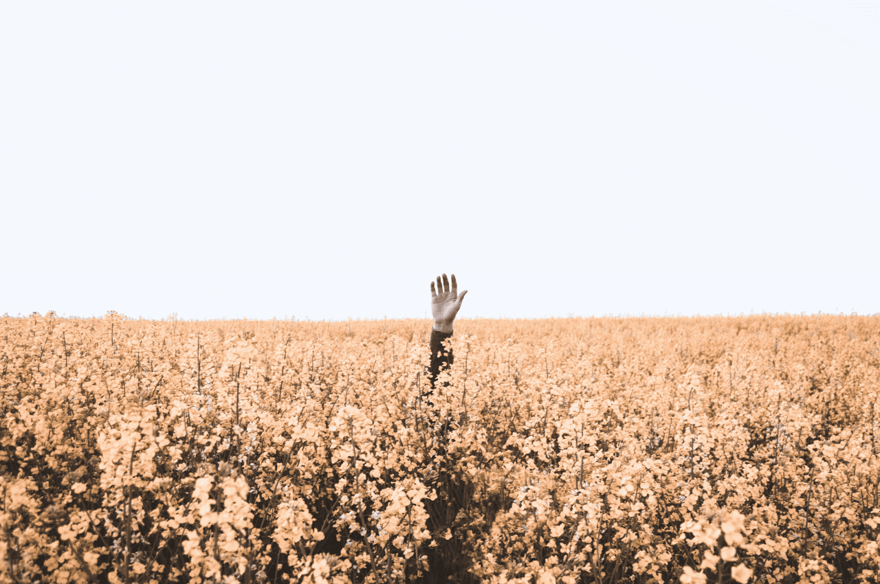 Feeling Lost After Spiritual Awakening? Here’s What to Do