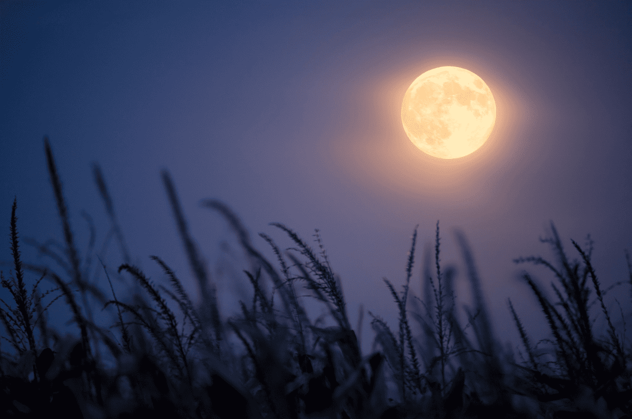 6 Harvest Full Moon Rituals for Manifestation (29 September 2023)